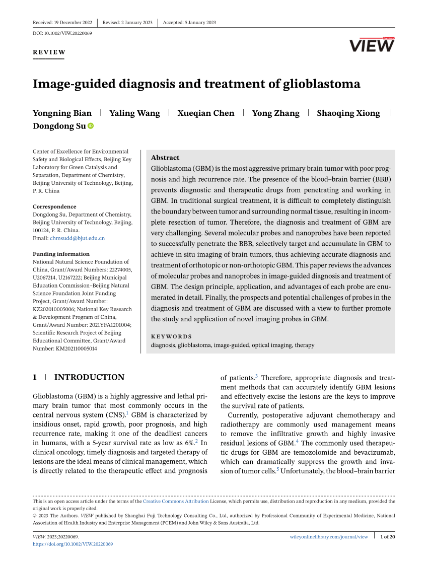 (PDF) Image‐guided diagnosis and treatment of glioblastoma