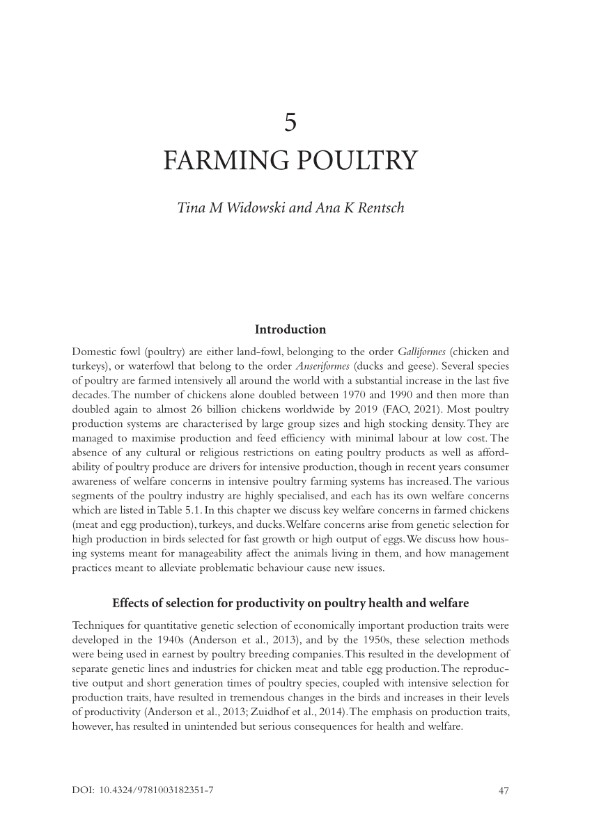 essay about poultry farming