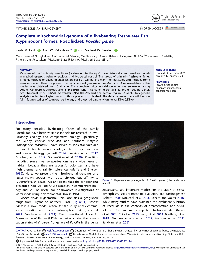 PDF) Complete mitochondrial genome of a livebearing freshwater fish  (Cyprinodontiformes: Poeciliidae): Poecilia parae