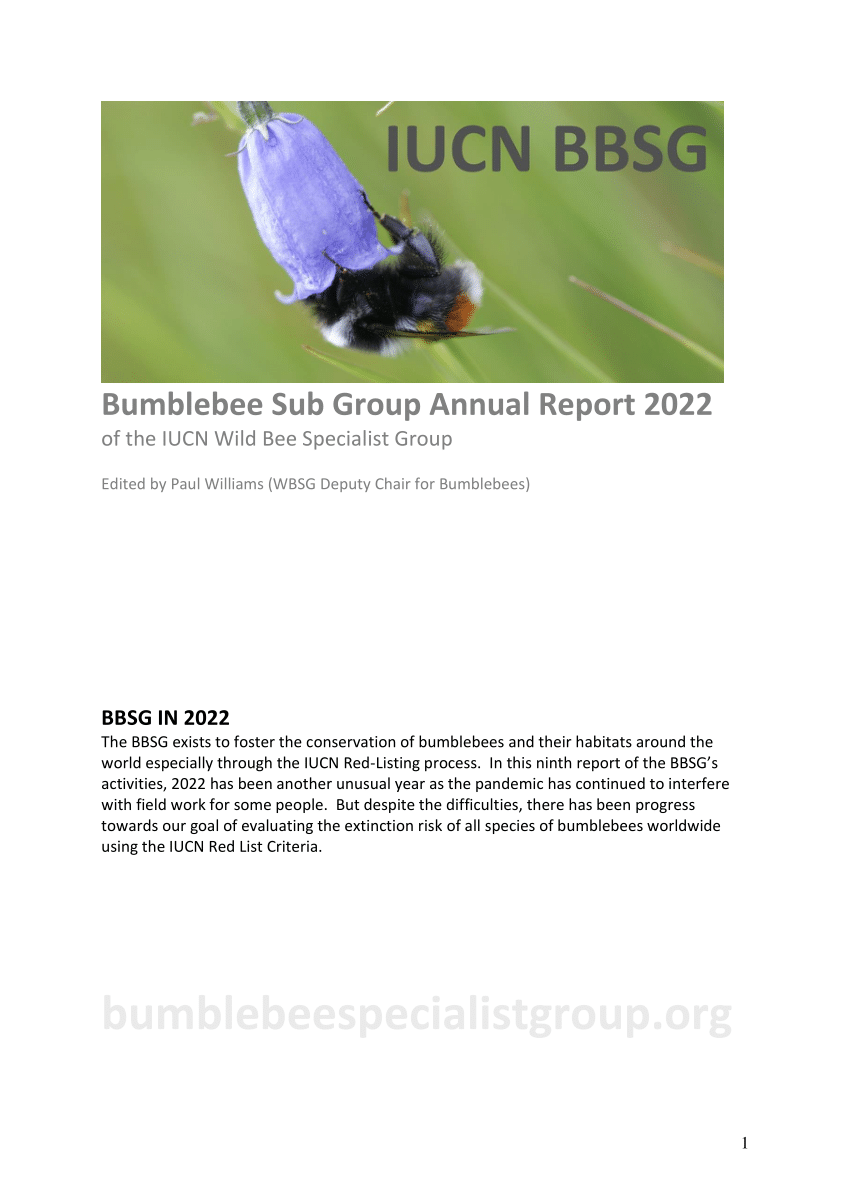 BUMBLE BEES  PEST INTERCEPTORS