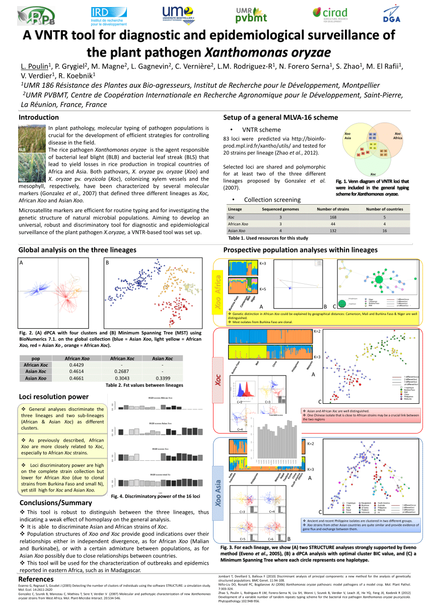 Pdf A Vntr Tool For Diagnostic And Epidemiological Surveillance Of