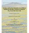 Preview image for Ecology and Foodweb Dynamics of an Effluent Dominated Sheetflow Wetland, Farmington Bay, Great Salt Lake, Utah Progress Report 2022 Version 1.2
