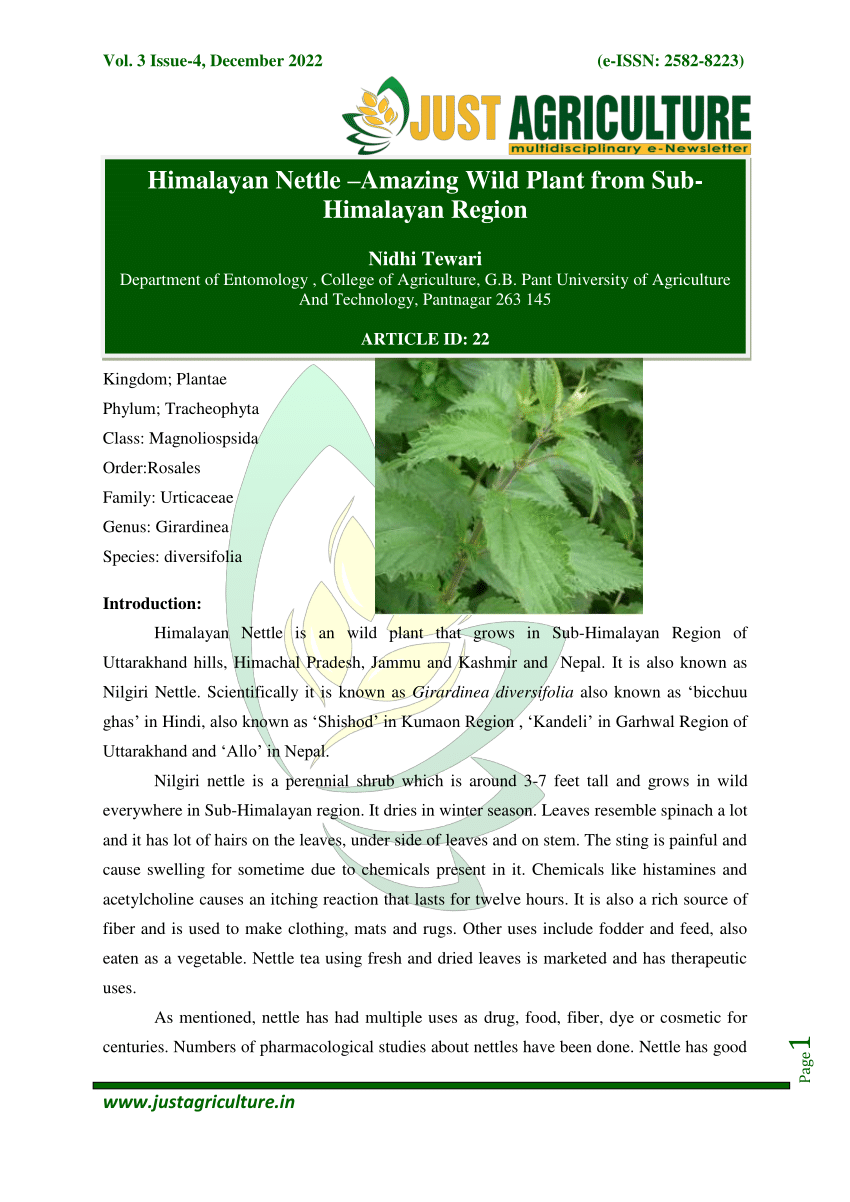 Nettle - Introduction