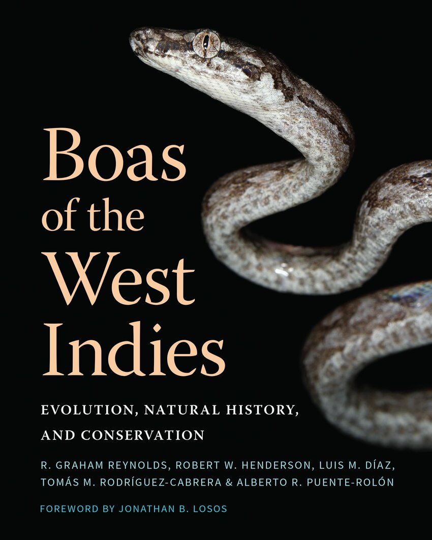 Boas of the World (Superfamily Booidae): A Checklist With