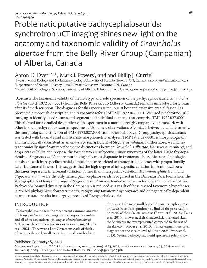 (PDF) Problematic putative pachycephalosaurids: Synchrotron µCT imaging