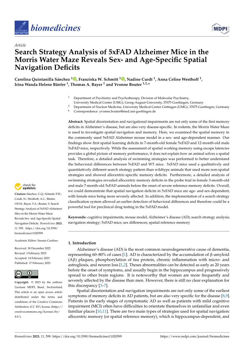 Search strategy analysis of Tg4-42 Alzheimer Mice in the Morris