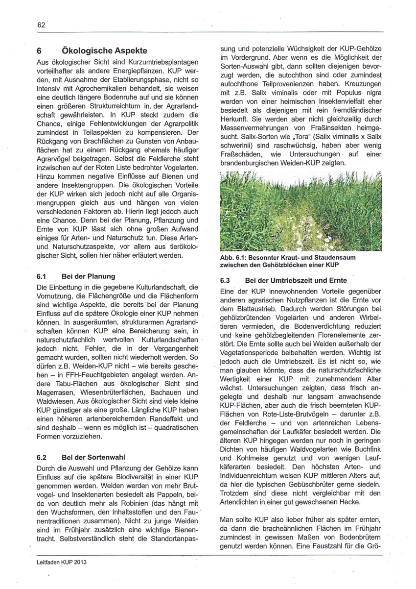 PDF Ökologische Aspekte bei Energieholz aus Kurzumtriebsplantagen