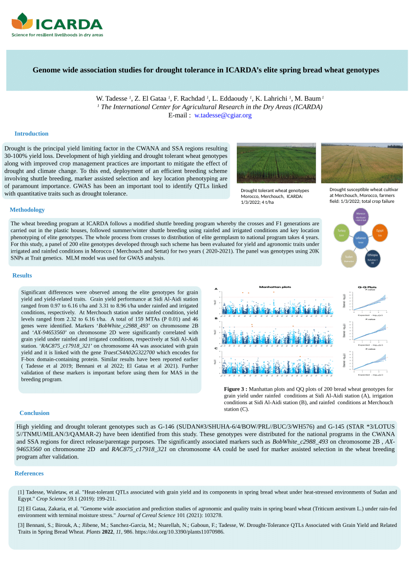 (PDF) Genome wide association study for drought tolerance in ICARDA’s ...