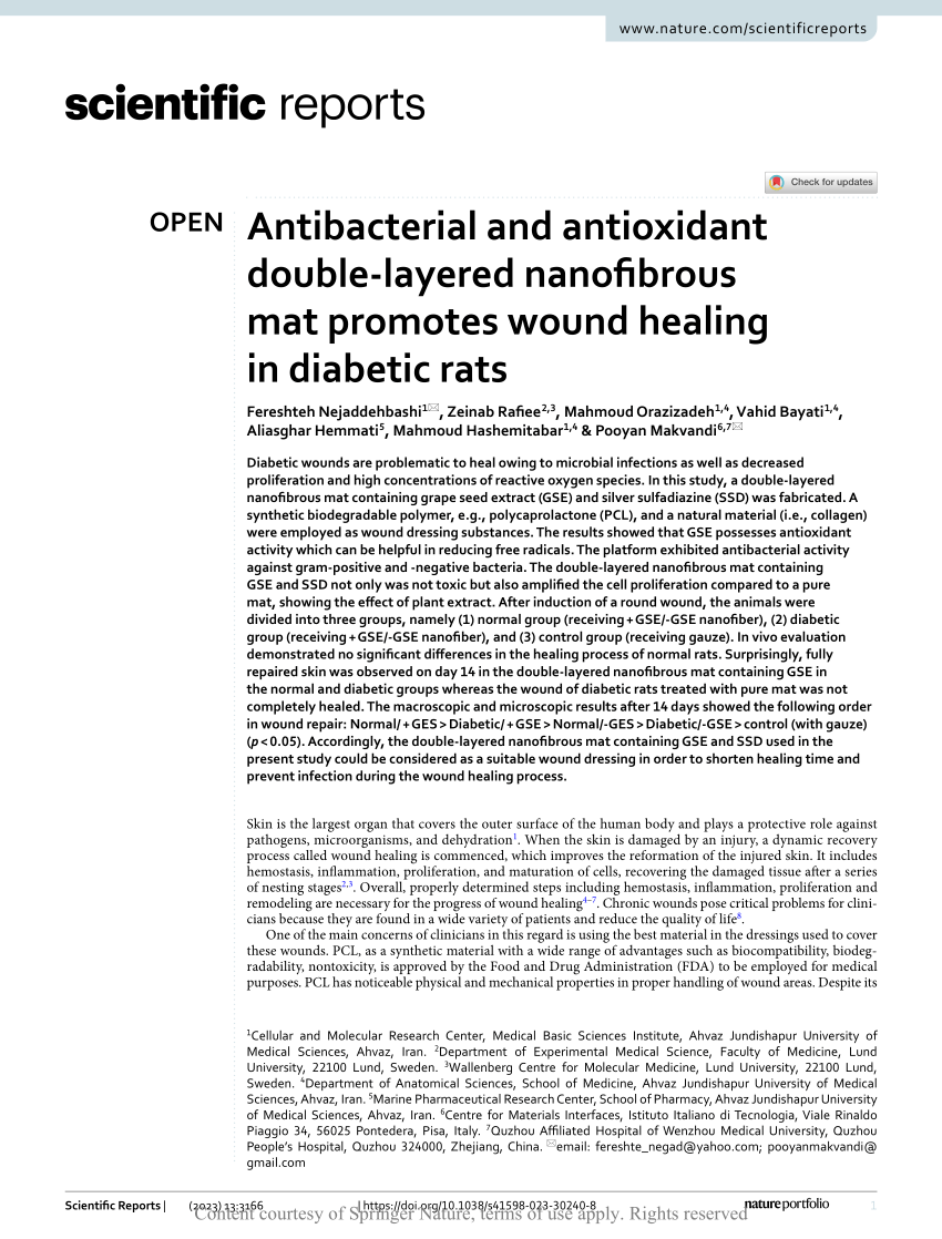 Antibacterial and antioxidant double-layered nanofibrous mat promotes wound  healing in diabetic rats