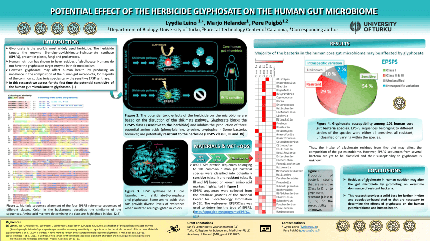 Pdf Poster Potential Effect Of The Herbicide Glyphosate On The Human