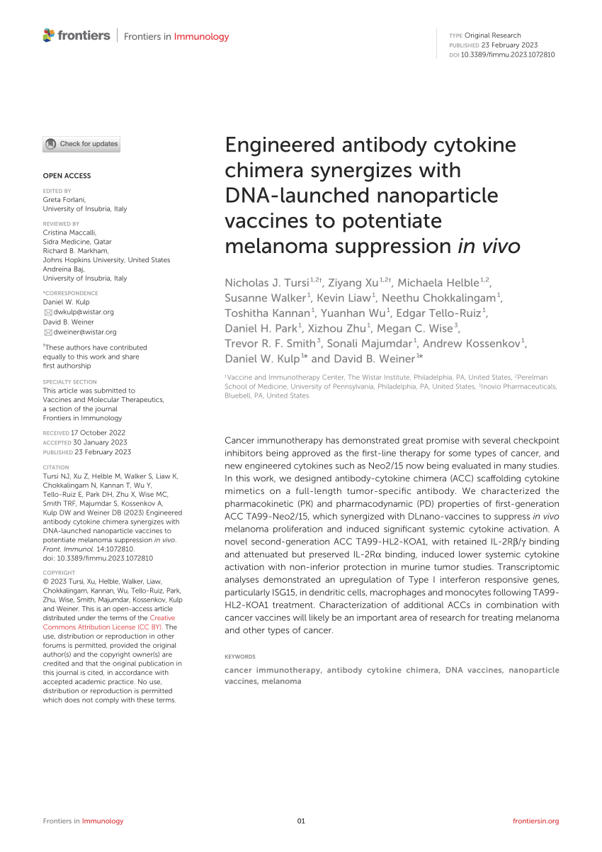PDF) Engineered antibody cytokine chimera synergizes with DNA 