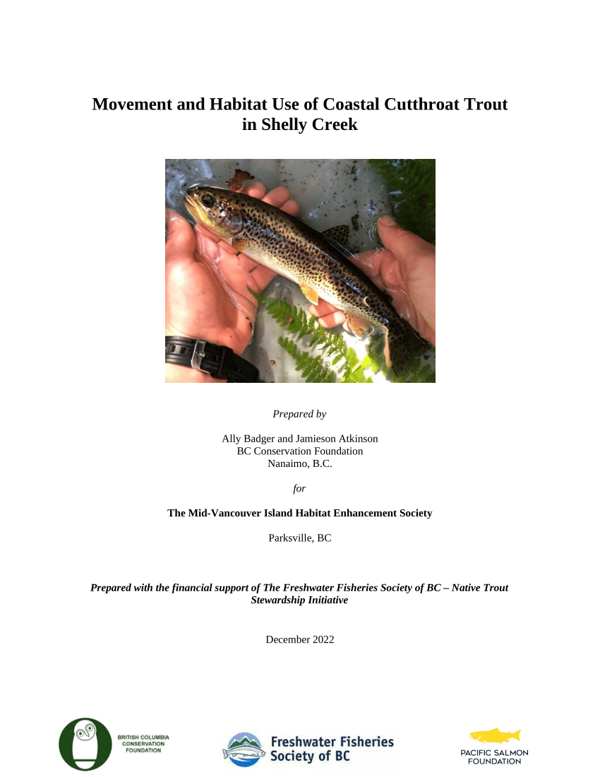 Cutthroat Trout  Anderson Design Group