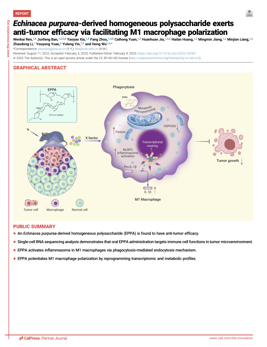 A summary of metabolite distribution in the three medicinal Echinacea