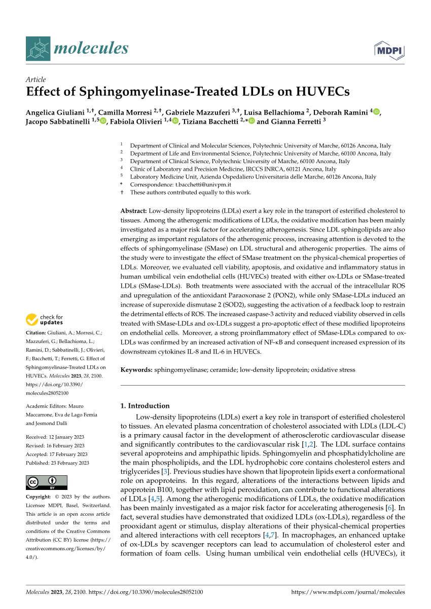 PDF Effect of Sphingomyelinase Treated LDLs on HUVECs 