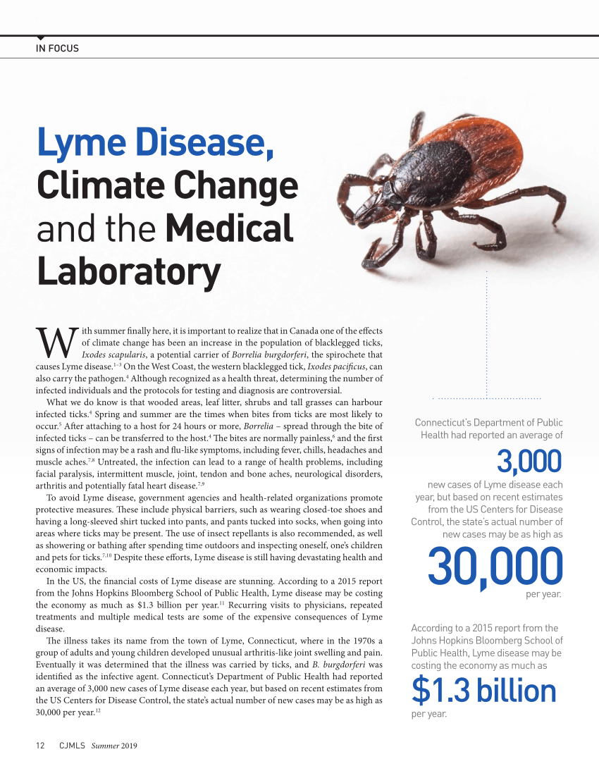 lyme disease research paper