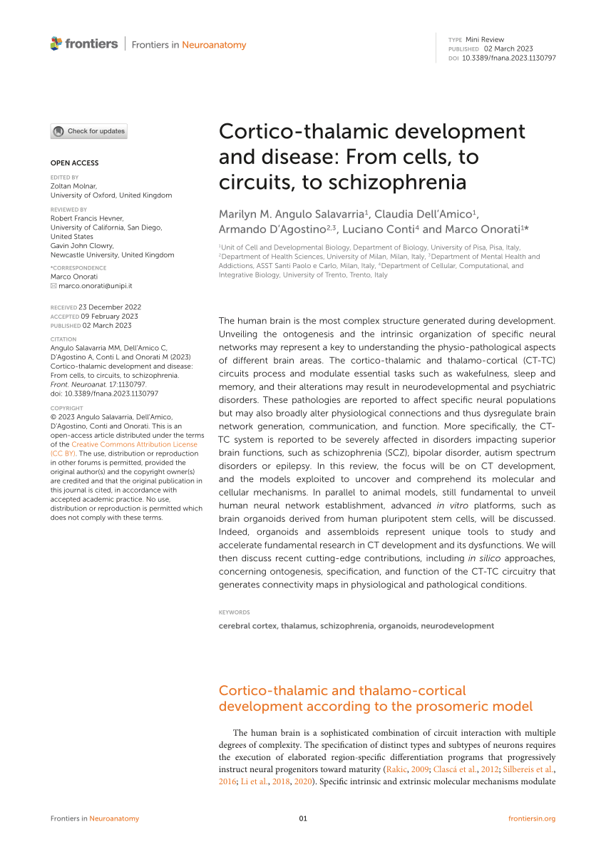 Pdf Cortico Thalamic Development And Disease From Cells To Circuits To Schizophrenia