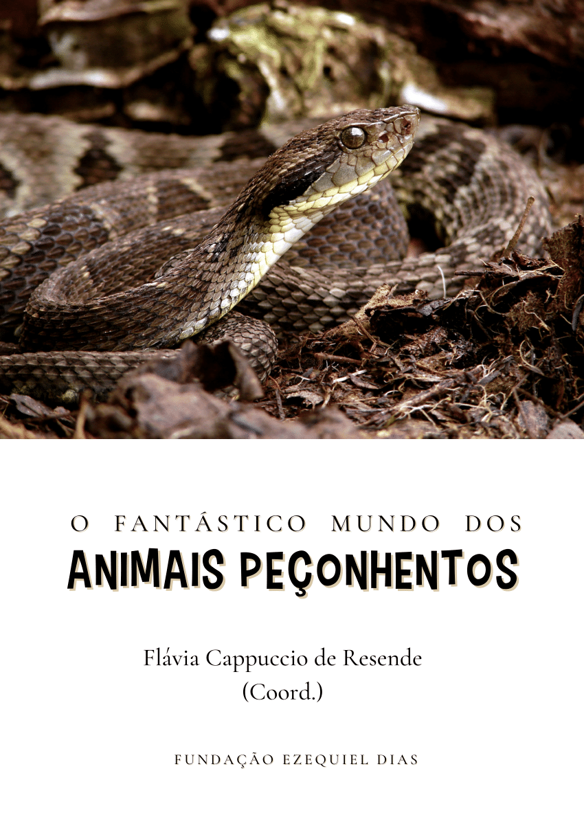 Four pages from the book O fantástico mundo do cerrado brasileiro
