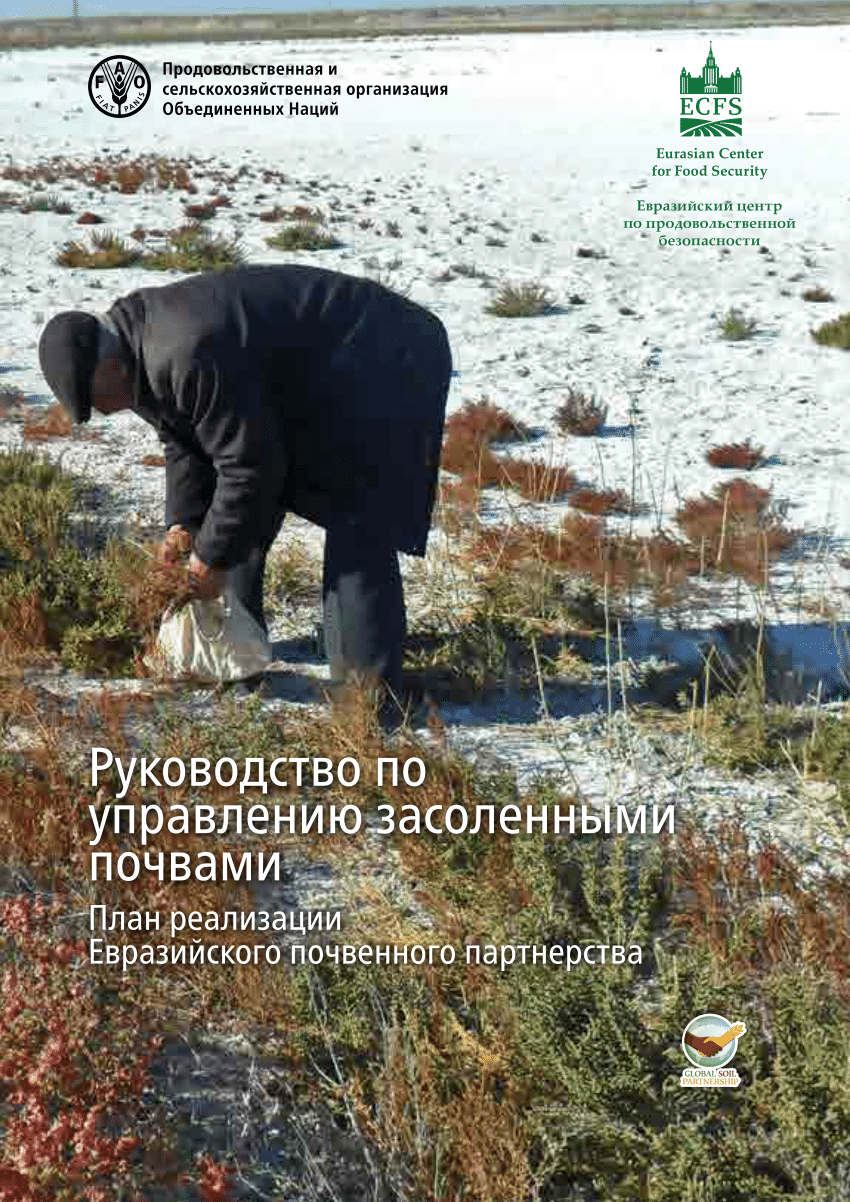 PDF) Руководство по управлению засоленніми почвами