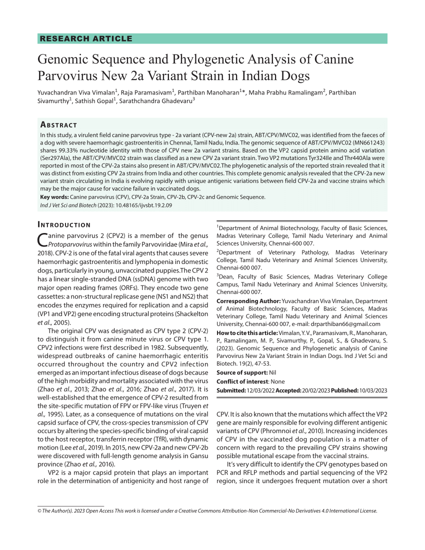 (PDF) Genomic Sequence and analysis of Canine Parvovirus