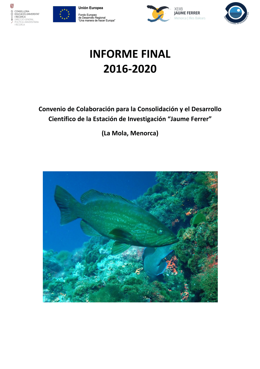 La inspección del Consell de Menorca realiza cerca de 80 controles en la  pesca recreativa submarina