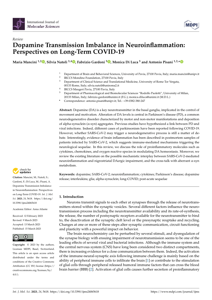 (PDF) International Journal of Molecular Sciences Dopamine Transmission