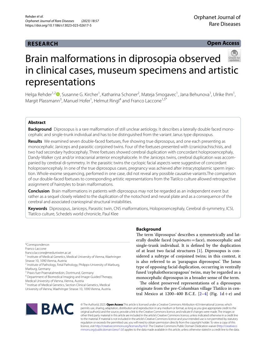PDF) Brain malformations in diprosopia observed in clinical cases, museum  specimens and artistic representations