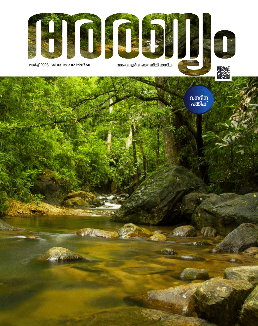 essay on nature conservation malayalam