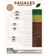 Preview image for FAGALES Phylogeny Poster (FagaPP)