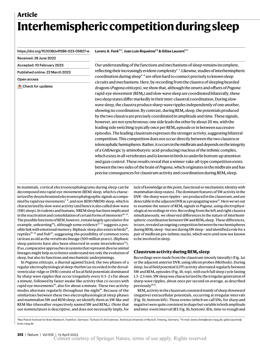 Interhemispheric competition during sleep