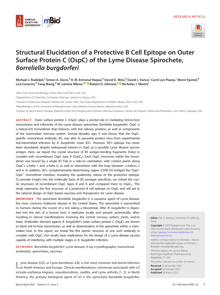 Pdf Structural Elucidation Of A Protective B Cell Epitope On Outer Surface Protein C Ospc Of 4375