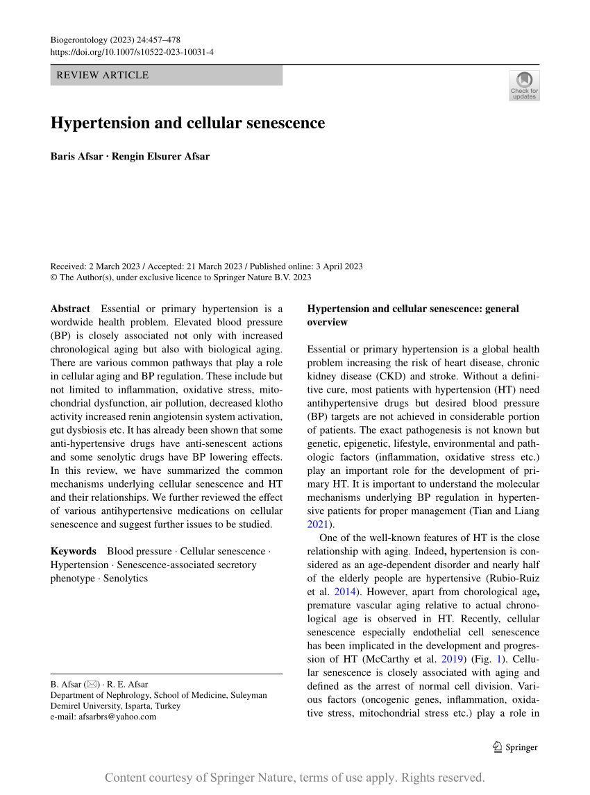 literature review hypertension