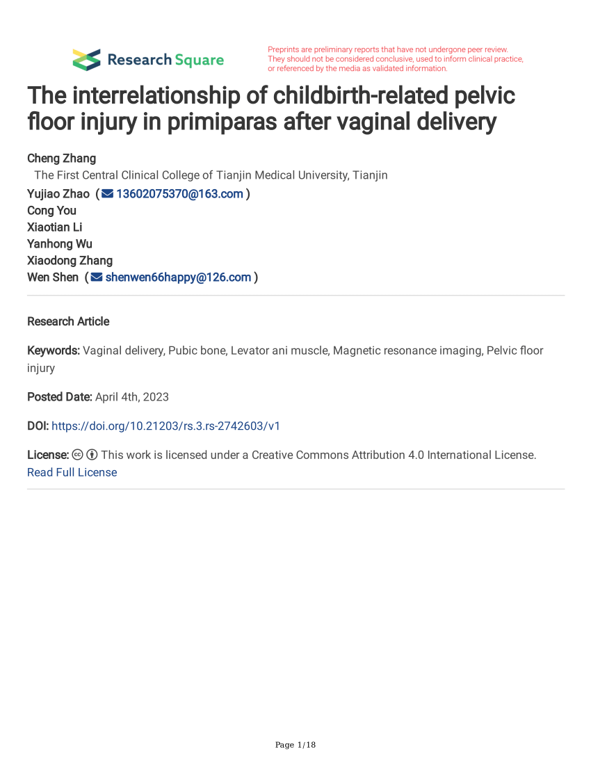 PDF) The interrelationship of childbirth-related pelvic floor