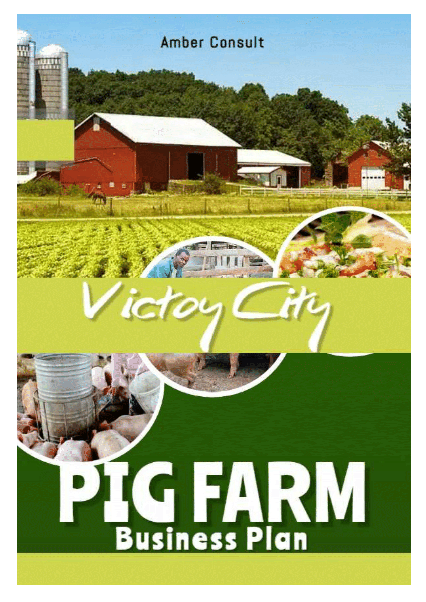 pig farming business plan in zambia pdf