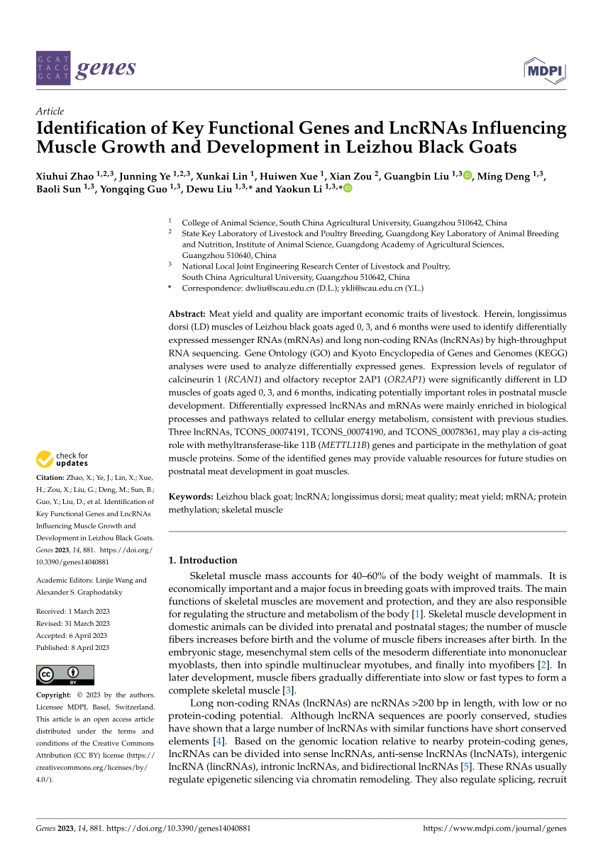 Pdf Identification Of Key Functional Genes And Lncrnas Influencing Muscle Growth And 4349