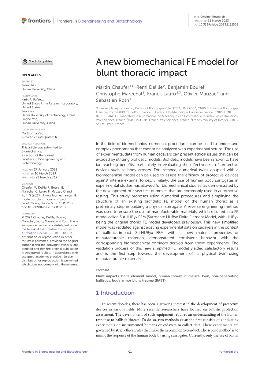Computational and experimental models of the human torso for non