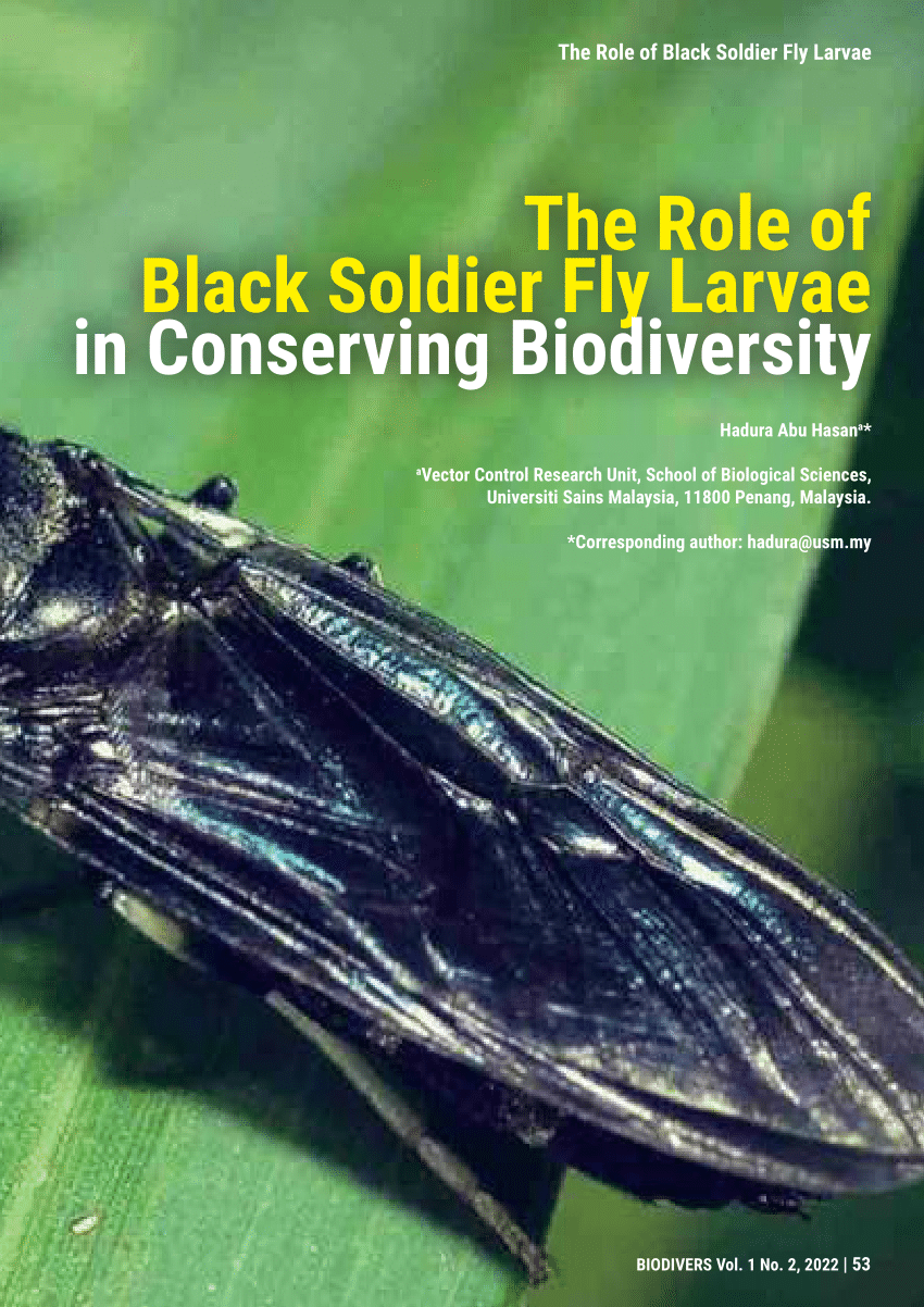 (PDF) The Role of Black Soldier Fly Larvae in Conserving Biodiversity