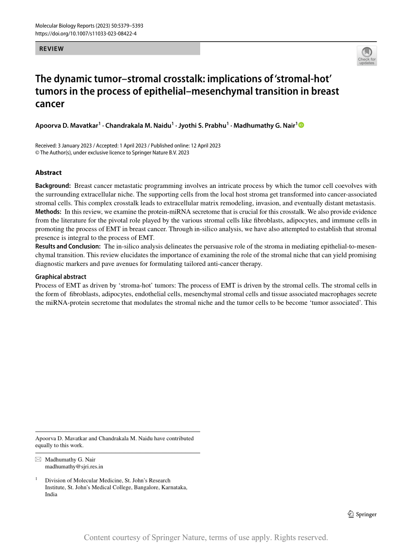 The Dynamic Tumorstromal Crosstalk Implications Of ‘stromal Hot Tumors In The Process Of 