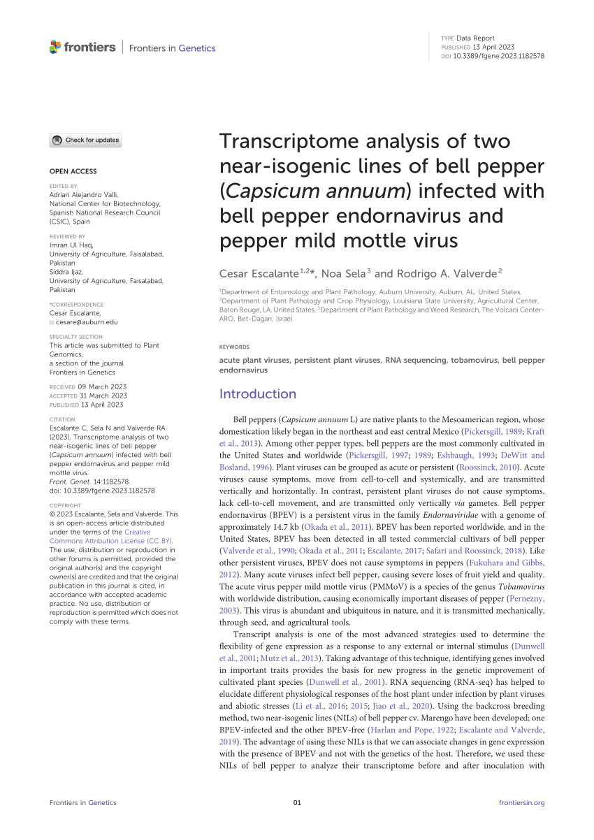 Pdf Transcriptome Analysis Of Two Near Isogenic Lines Of Bell Pepper