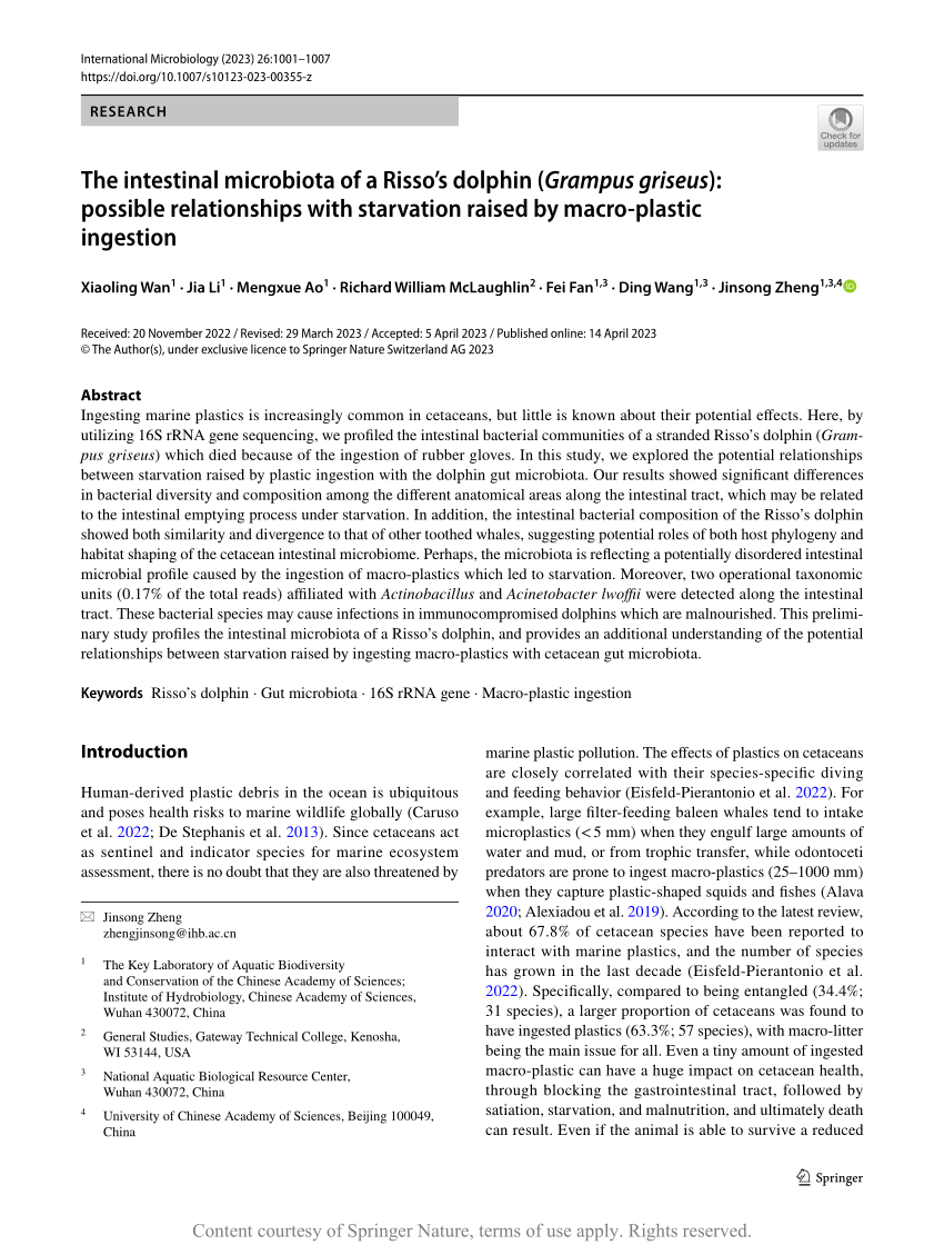 The intestinal microbiota of a Risso’s dolphin (Grampus griseus