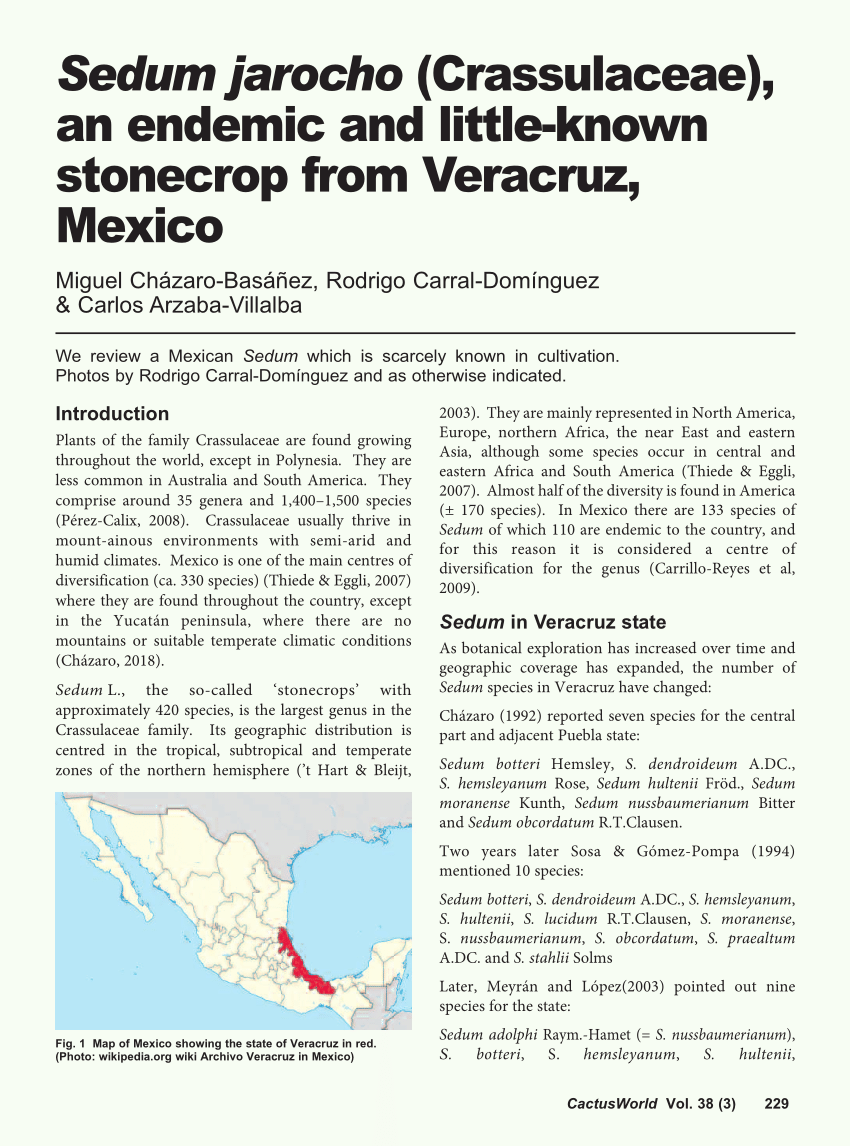 Veracruz - Wikipedia