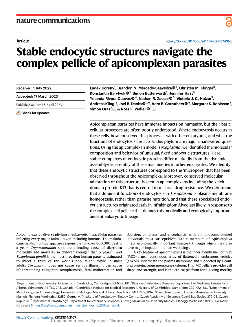 PDF) Stable endocytic structures navigate the complex pellicle of  apicomplexan parasites