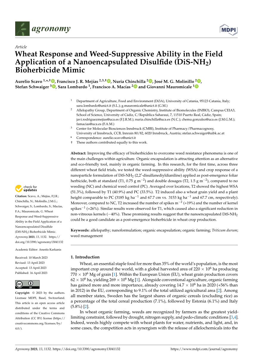 PDF) Wheat Response and Weed-Suppressive Ability in the Field ...