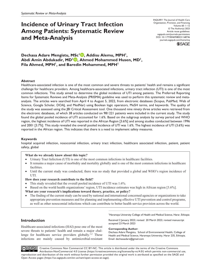 literature review on urinary tract infection