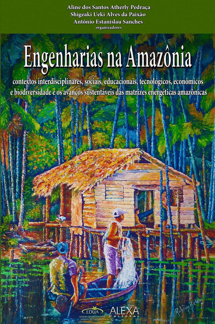 PDF) CADASTRAR, INCLUIR E PROTEGER AS MALHAS DA ASSISTÊNCIA SOCIAL NA  FRONTEIRA AMAZÔNIA