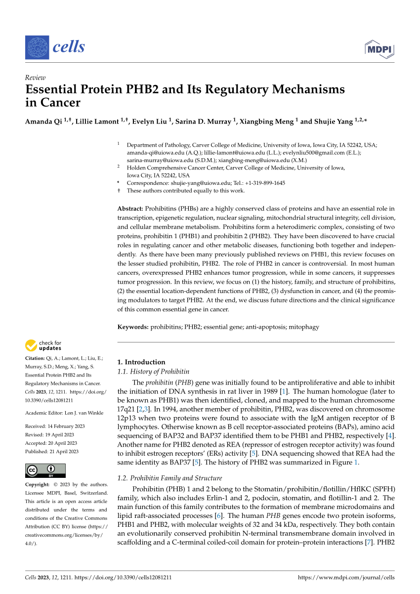 (PDF) Essential Protein PHB2 and Its Regulatory Mechanisms in Cancer