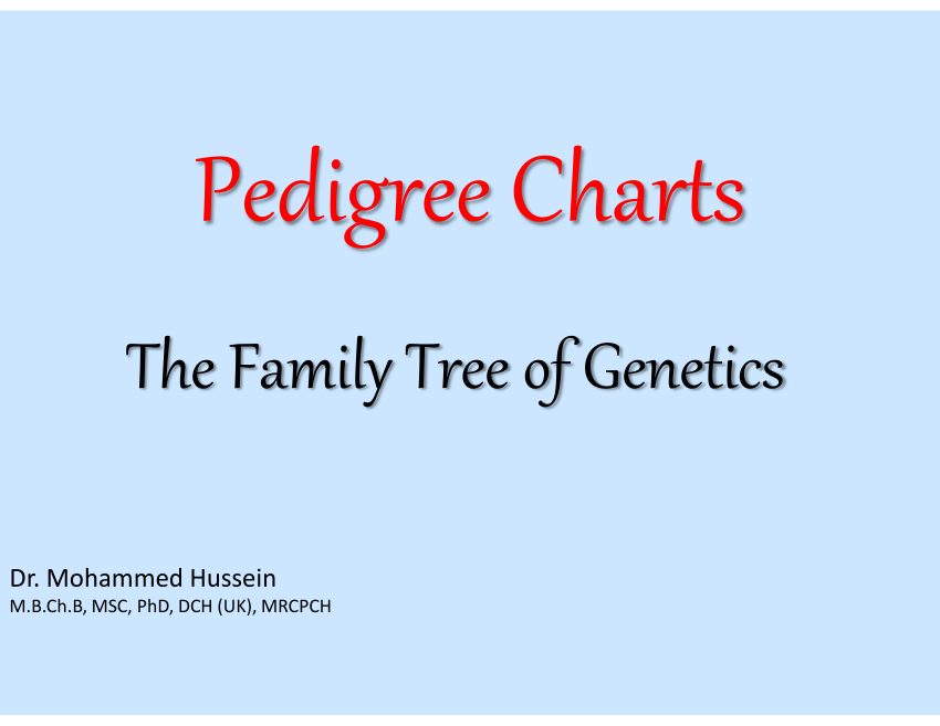 pdf-genetic-pedigree-chart-interpretation