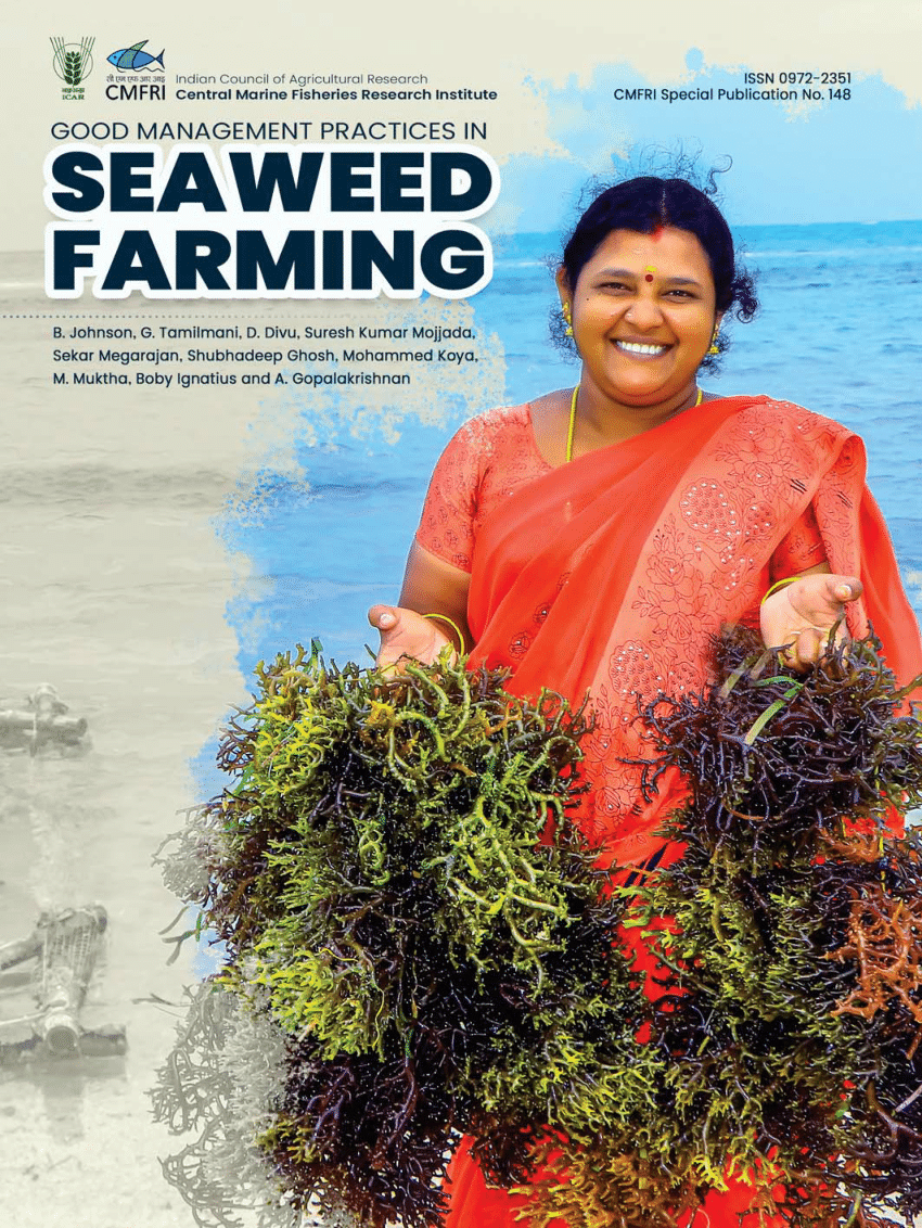 research on seaweed farming