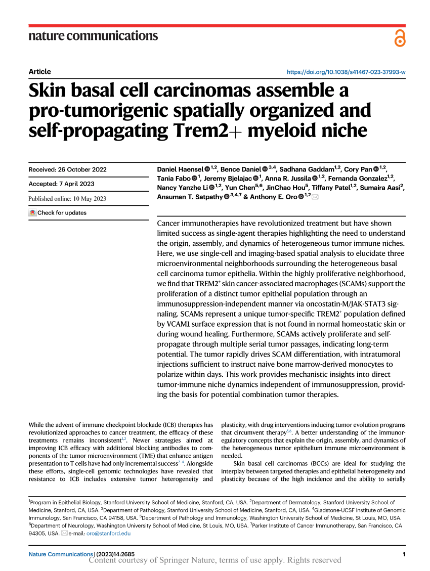 https://i1.rgstatic.net/publication/370655993_Skin_basal_cell_carcinomas_assemble_a_pro-tumorigenic_spatially_organized_and_self-propagating_Trem2_myeloid_niche/links/645c57e5f43b8a29ba40efeb/largepreview.png