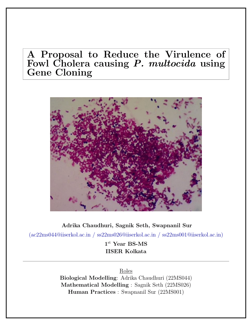 research proposal on cholera pdf