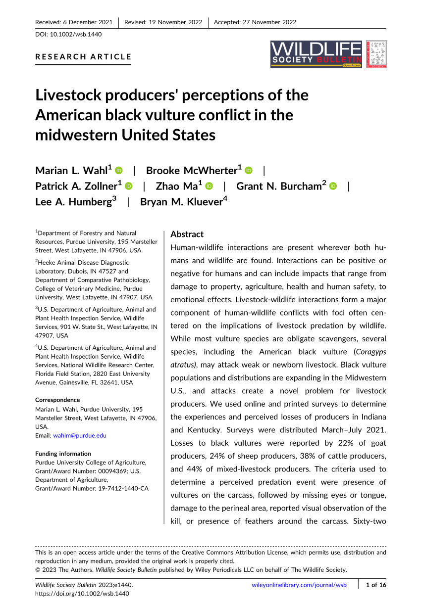 Black vultures are killing newborn livestock in the Midwest